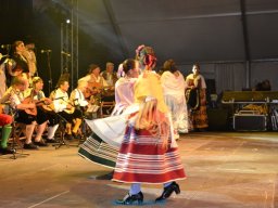 Festival de Folkore en Mula